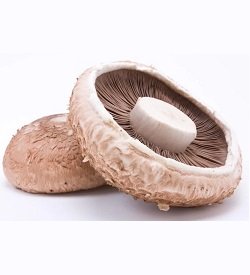 Mushrooms Swiss Flats