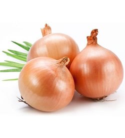 Onions Brown