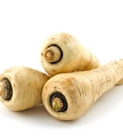 Parsnip Large