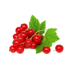 Currants Red
