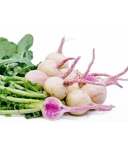 Radish Watermelon
